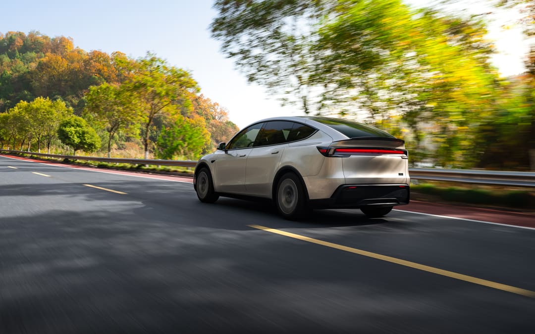 Model Y Long Wheelbase driving on a tree-lined road